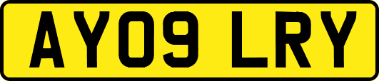 AY09LRY