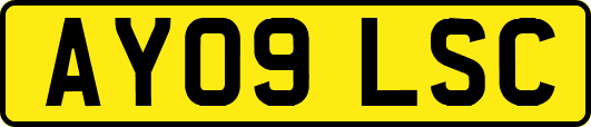 AY09LSC