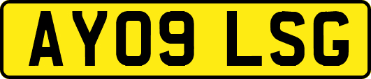 AY09LSG