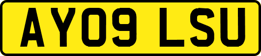 AY09LSU