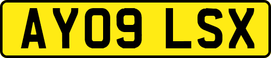 AY09LSX