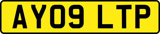 AY09LTP