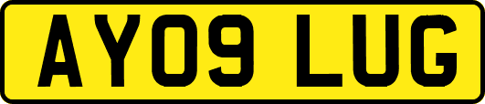 AY09LUG