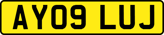AY09LUJ