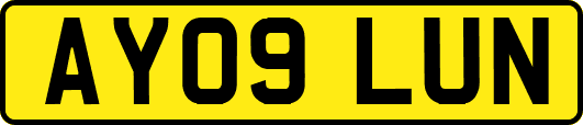 AY09LUN