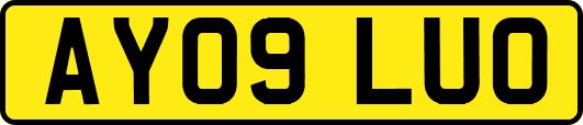 AY09LUO