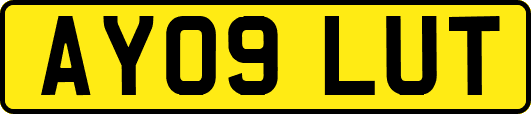 AY09LUT