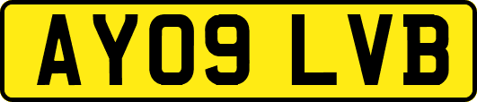 AY09LVB