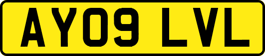 AY09LVL