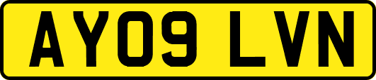 AY09LVN
