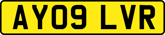 AY09LVR