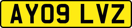 AY09LVZ