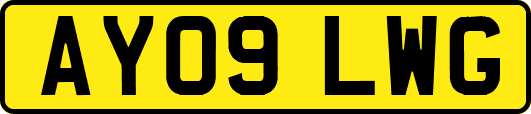AY09LWG