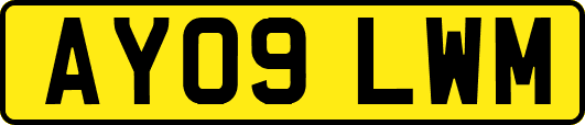 AY09LWM