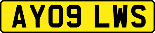AY09LWS