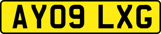 AY09LXG