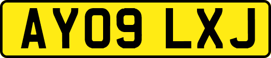 AY09LXJ