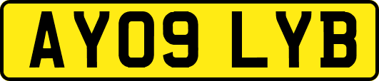 AY09LYB