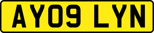 AY09LYN