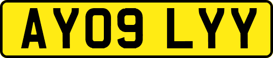 AY09LYY