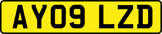 AY09LZD