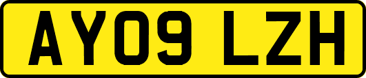 AY09LZH