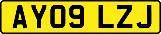 AY09LZJ