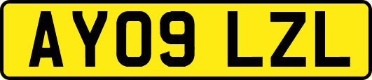 AY09LZL