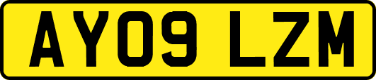 AY09LZM