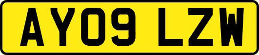 AY09LZW