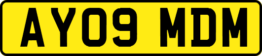 AY09MDM
