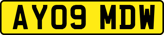 AY09MDW