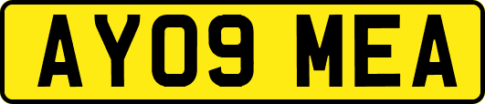AY09MEA
