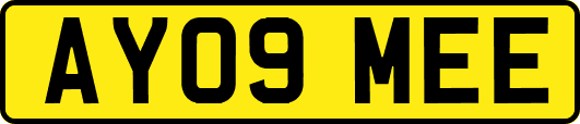 AY09MEE