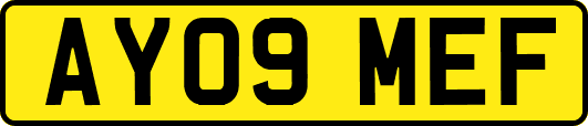 AY09MEF