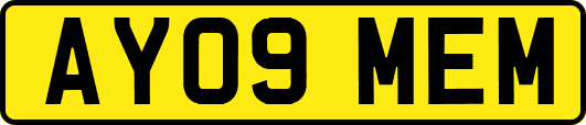 AY09MEM