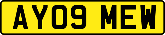 AY09MEW