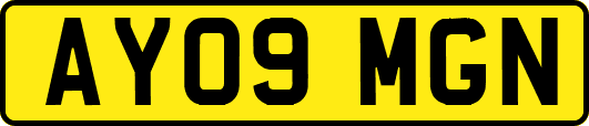AY09MGN