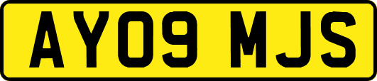 AY09MJS