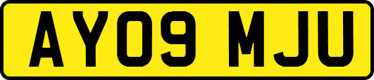 AY09MJU