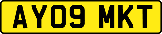 AY09MKT