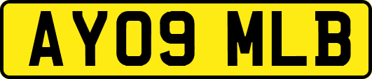 AY09MLB