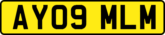 AY09MLM