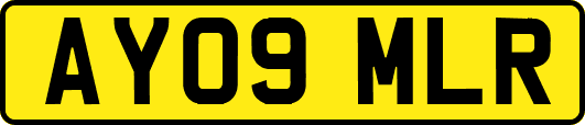 AY09MLR