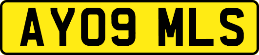 AY09MLS