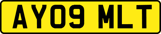 AY09MLT