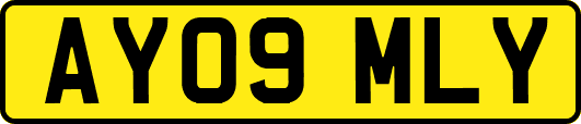 AY09MLY