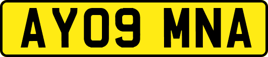 AY09MNA