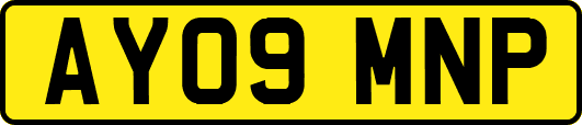 AY09MNP