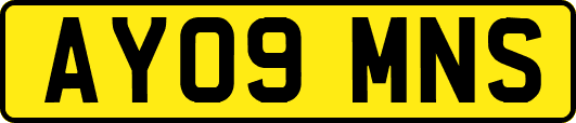 AY09MNS